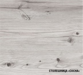 АСАЯ Кухонный гарнитур Экстра (3000 мм) в Новом Уренгое - novyy-urengoy.ok-mebel.com | фото 8