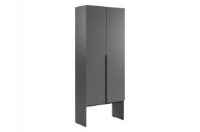 БАСКО Шкаф двухдверный L800 (графит) в Новом Уренгое - novyy-urengoy.ok-mebel.com | фото