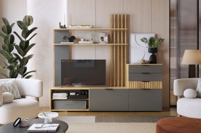 БЕРИ К3 Гостиная в Новом Уренгое - novyy-urengoy.ok-mebel.com | фото 2
