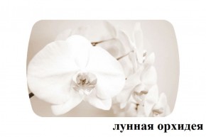 БОСТОН - 2 опоры Триумф в Новом Уренгое - novyy-urengoy.ok-mebel.com | фото 18