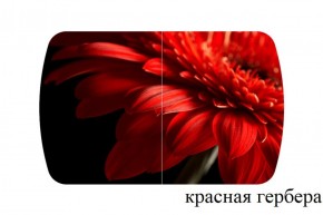 БОСТОН - 3 Стол раздвижной 1100/1420 опоры Триумф в Новом Уренгое - novyy-urengoy.ok-mebel.com | фото 18