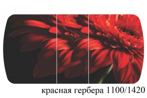 БОСТОН - 3 Стол раздвижной 1100/1420 опоры Триумф в Новом Уренгое - novyy-urengoy.ok-mebel.com | фото 19