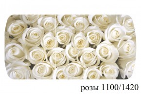 БОСТОН - 3 Стол раздвижной 1100/1420 опоры Триумф в Новом Уренгое - novyy-urengoy.ok-mebel.com | фото 37