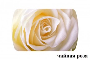 БОСТОН - 3 Стол раздвижной 1100/1420 опоры Триумф в Новом Уренгое - novyy-urengoy.ok-mebel.com | фото 47