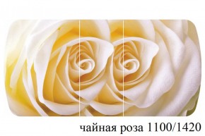 БОСТОН - 3 Стол раздвижной 1100/1420 опоры Триумф в Новом Уренгое - novyy-urengoy.ok-mebel.com | фото 48