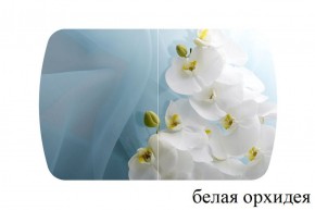 БОСТОН - 3 Стол раздвижной 1100/1420 опоры Триумф в Новом Уренгое - novyy-urengoy.ok-mebel.com | фото 8