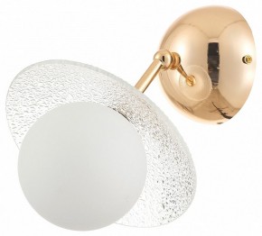 Бра Rivoli Jacqueline Б0066444 в Новом Уренгое - novyy-urengoy.ok-mebel.com | фото