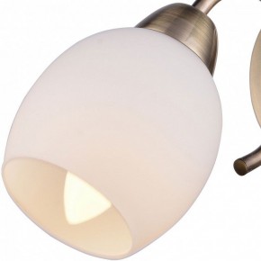 Бра TopLight Merry TL3780B-01AB в Новом Уренгое - novyy-urengoy.ok-mebel.com | фото 2