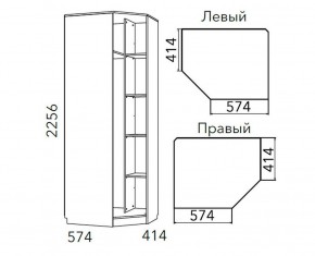 Детская Фанк Шкаф угловой Левый/Правый НМ 013.04-02 М в Новом Уренгое - novyy-urengoy.ok-mebel.com | фото 3