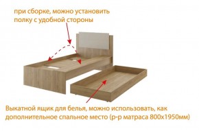 Дуглас (подростковая) М14 Кровать в Новом Уренгое - novyy-urengoy.ok-mebel.com | фото 5
