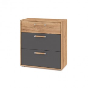 ФЛОРИДА Ф41 Комод (дуб золотой/графит) в Новом Уренгое - novyy-urengoy.ok-mebel.com | фото