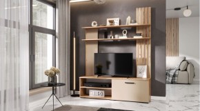 КАРОЛИНА Гостиная (дуб вотан/кашемир) в Новом Уренгое - novyy-urengoy.ok-mebel.com | фото