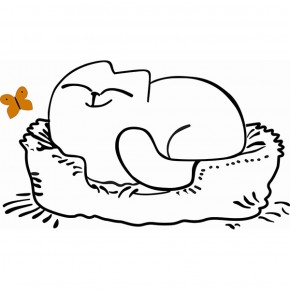 Кровать двухуровневая Кот № 900.1 ПРАВАЯ (туя светлая/белый) в Новом Уренгое - novyy-urengoy.ok-mebel.com | фото 2