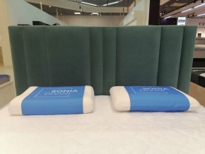Кровать Верона Решетка+ПМ+Дно (1600) в Новом Уренгое - novyy-urengoy.ok-mebel.com | фото 6