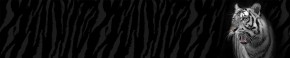 Кухонный фартук Фауна 055 МДФ матовый (3000) Fauna в Новом Уренгое - novyy-urengoy.ok-mebel.com | фото