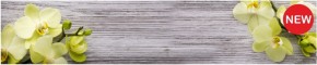 Кухонный фартук КМ 09 Композит глянец (3000) в Новом Уренгое - novyy-urengoy.ok-mebel.com | фото 1