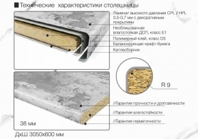 Кухонный фартук со столешницей (А-01) в едином стиле (3050 мм) в Новом Уренгое - novyy-urengoy.ok-mebel.com | фото 6