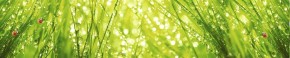 Кухонный фартук Цветы 115 МДФ матовый (3000) Flowers в Новом Уренгое - novyy-urengoy.ok-mebel.com | фото