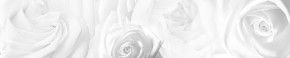 Кухонный фартук Цветы 217 МДФ матовый (3000) Flowers в Новом Уренгое - novyy-urengoy.ok-mebel.com | фото