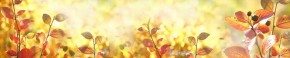 Кухонный фартук Цветы 318 МДФ матовый (3000) Flowers в Новом Уренгое - novyy-urengoy.ok-mebel.com | фото
