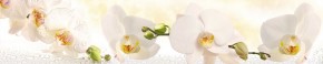 Кухонный фартук Цветы 328 МДФ матовый (3000) Flowers в Новом Уренгое - novyy-urengoy.ok-mebel.com | фото 1