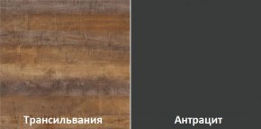 Кухонный гарнитур угловой Трансильвания 2600х1600 мм (Стол. 38 мм) в Новом Уренгое - novyy-urengoy.ok-mebel.com | фото 3