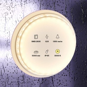 Лента светодиодная Maytoni Led strip 10117 в Новом Уренгое - novyy-urengoy.ok-mebel.com | фото 2