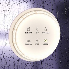 Лента светодиодная Maytoni Led strip 10118 в Новом Уренгое - novyy-urengoy.ok-mebel.com | фото 2