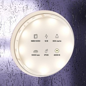 Лента светодиодная Maytoni Led strip 10124 в Новом Уренгое - novyy-urengoy.ok-mebel.com | фото 3