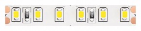 Лента светодиодная Maytoni Led strip 10146 в Новом Уренгое - novyy-urengoy.ok-mebel.com | фото