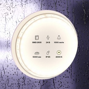 Лента светодиодная Maytoni Led strip 10146 в Новом Уренгое - novyy-urengoy.ok-mebel.com | фото 3