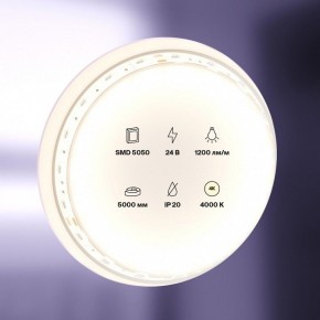 Лента светодиодная Maytoni Led strip 10169 в Новом Уренгое - novyy-urengoy.ok-mebel.com | фото 2