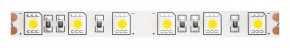 Лента светодиодная Maytoni Led strip 10170 в Новом Уренгое - novyy-urengoy.ok-mebel.com | фото