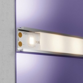 Лента светодиодная Maytoni Led strip 20002 в Новом Уренгое - novyy-urengoy.ok-mebel.com | фото 3
