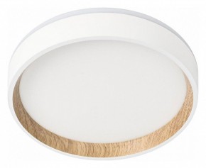 Накладной светильник Citilux Etalon CL750180 в Новом Уренгое - novyy-urengoy.ok-mebel.com | фото