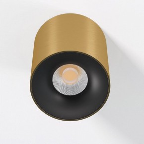 Накладной светильник Elektrostandard Primo 25116/LED в Новом Уренгое - novyy-urengoy.ok-mebel.com | фото