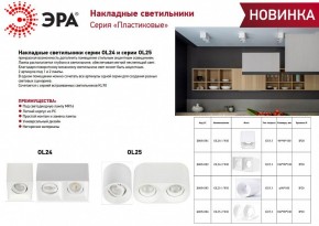 Накладной светильник Эра OL24-1 WH Б0054381 в Новом Уренгое - novyy-urengoy.ok-mebel.com | фото 2