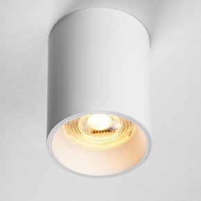 Накладной светильник Lightstar Rullo 213436 в Новом Уренгое - novyy-urengoy.ok-mebel.com | фото 2