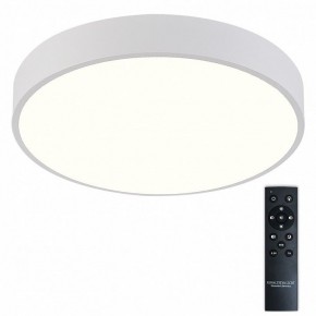 Накладной светильник Natali Kovaltseva  LED LAMPS 81112/5C в Новом Уренгое - novyy-urengoy.ok-mebel.com | фото 2