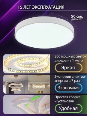 Накладной светильник Natali Kovaltseva  LED LAMPS 81112/5C в Новом Уренгое - novyy-urengoy.ok-mebel.com | фото 4