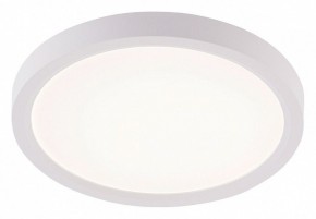 Накладной светильник Natali Kovaltseva PLAIN LED LAMPS 81113/1C в Новом Уренгое - novyy-urengoy.ok-mebel.com | фото