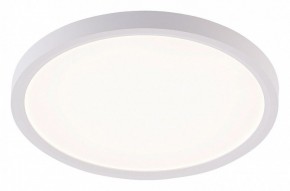 Накладной светильник Natali Kovaltseva PLAIN LED LAMPS 81113/2C в Новом Уренгое - novyy-urengoy.ok-mebel.com | фото