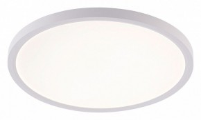 Накладной светильник Natali Kovaltseva PLAIN LED LAMPS 81113/3C в Новом Уренгое - novyy-urengoy.ok-mebel.com | фото
