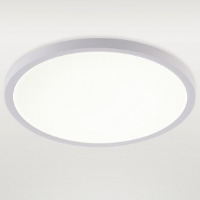 Накладной светильник Natali Kovaltseva PLAIN LED LAMPS 81113/3C в Новом Уренгое - novyy-urengoy.ok-mebel.com | фото 2