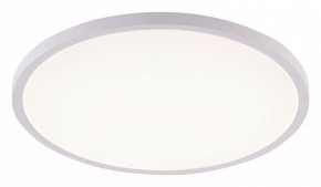 Накладной светильник Natali Kovaltseva PLAIN LED LAMPS 81113/5C в Новом Уренгое - novyy-urengoy.ok-mebel.com | фото