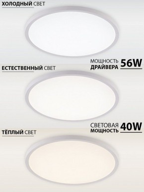 Накладной светильник Natali Kovaltseva PLAIN LED LAMPS 81113/5C в Новом Уренгое - novyy-urengoy.ok-mebel.com | фото 3
