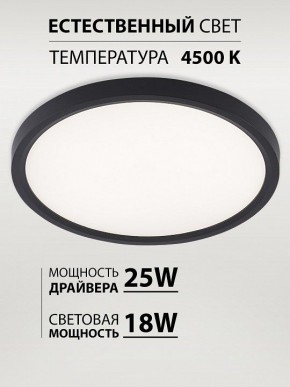 Накладной светильник Natali Kovaltseva PLAIN LED LAMPS 81114/2C в Новом Уренгое - novyy-urengoy.ok-mebel.com | фото 3