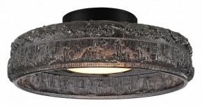 Накладной светильник ST-Luce ANTIKE SL6143.412.01 в Новом Уренгое - novyy-urengoy.ok-mebel.com | фото 2