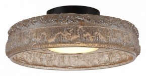 Накладной светильник ST-Luce ANTIKE SL6143.422.01 в Новом Уренгое - novyy-urengoy.ok-mebel.com | фото 3