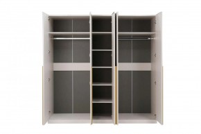 НИКОЛЬ 25 Шкаф 5-ти створчатый в Новом Уренгое - novyy-urengoy.ok-mebel.com | фото 3